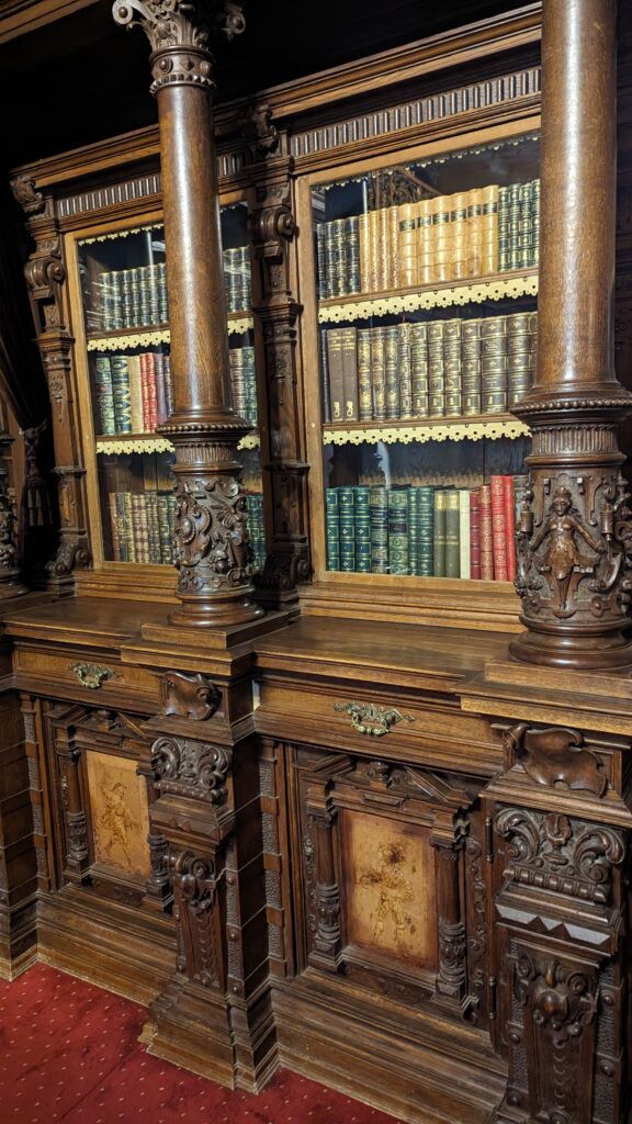 biblioteca castillo de peles